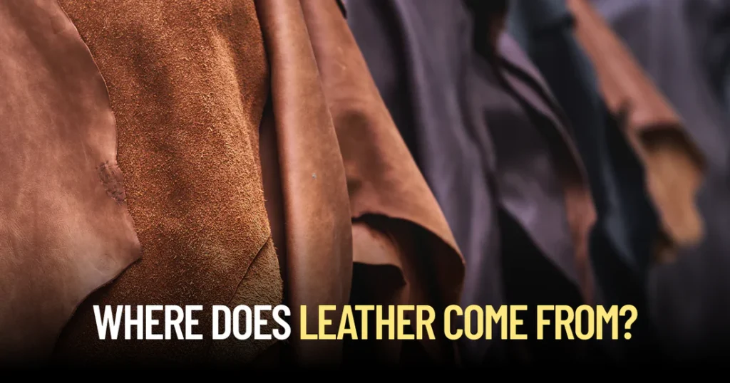 Where Does Leather Come From